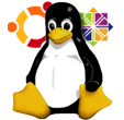 Linux dedicated server
